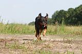 BEAUCERON 032